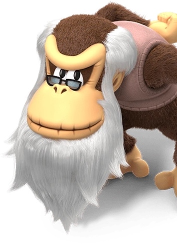 CRANKY KONG