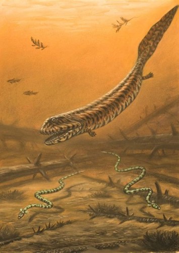 Crassigyrinus