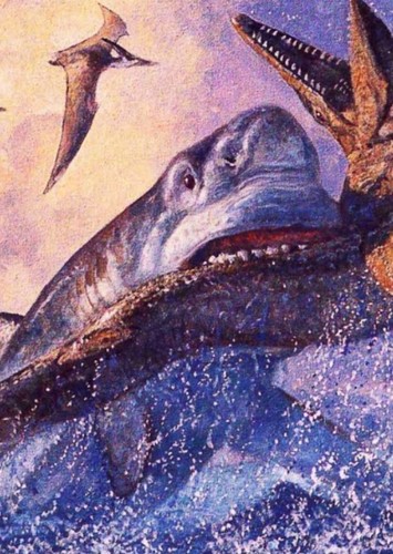 Cretoxyrhina