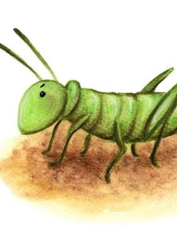 Cricket