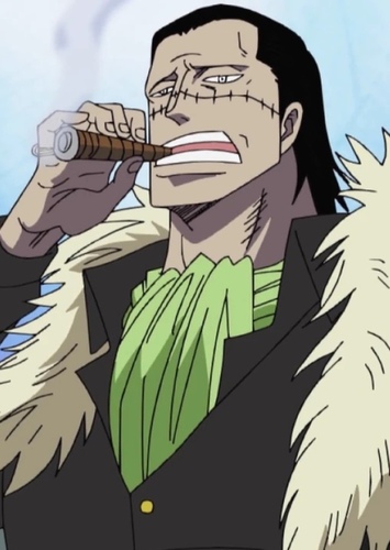 Crocodile
