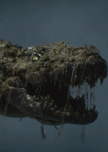 Crocodile