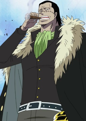 Crocodile