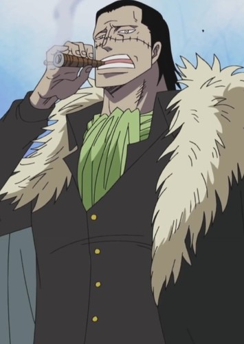 Crocodile