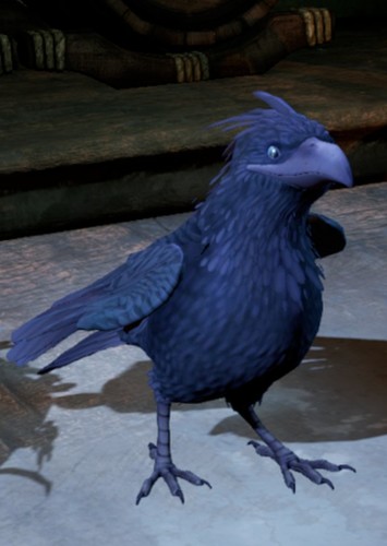 Crow