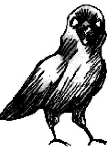 CROW (Voice)