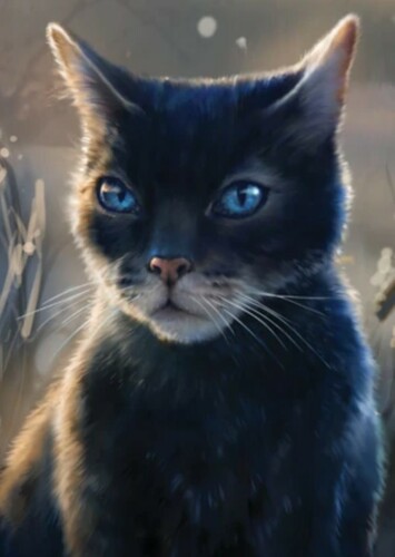 Crowfeather