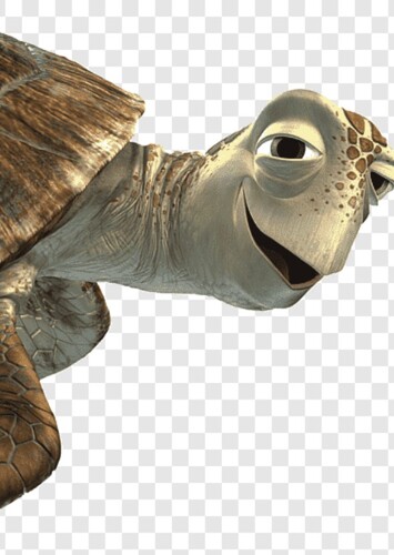 Crush the Sea Turtle