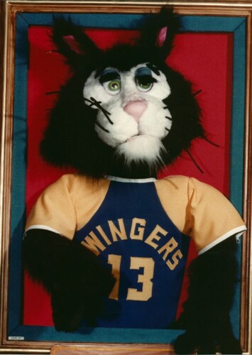 Crusty the Cat