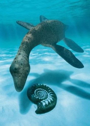 Cryptoclidus