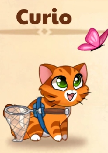 Curio