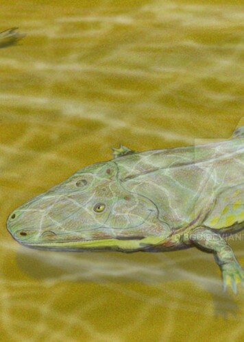 Cyclotosaurus