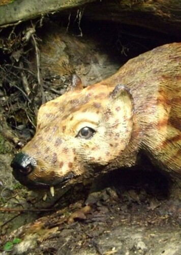 Cynosaurus