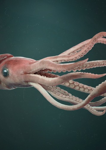 Cynthia the Giant Squid