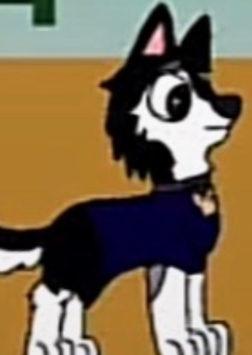 D.O.G