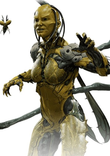 D'VORAH