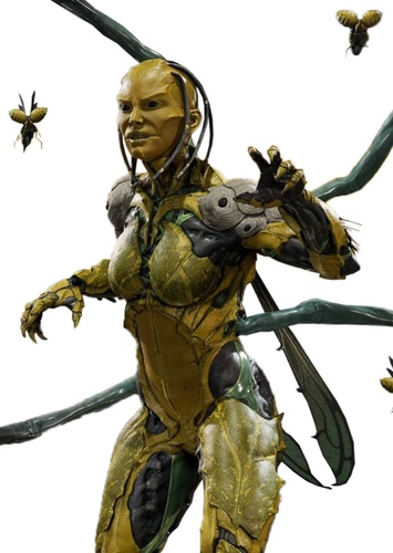 D’vorah