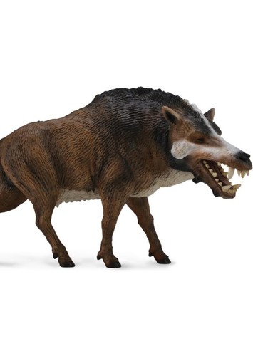 Daeodon