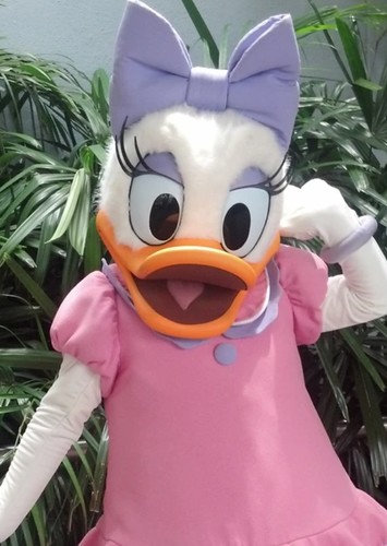 Daisy Duck
