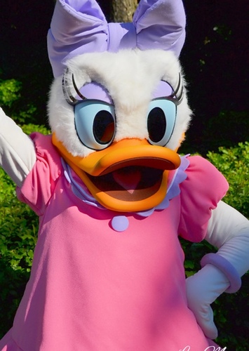 Daisy Duck
