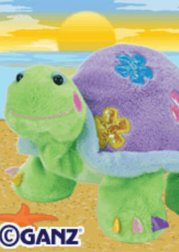 Daisy Tortoise