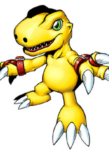 Daizo's Agumon (English Dub)
