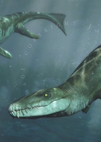Dakosaurus