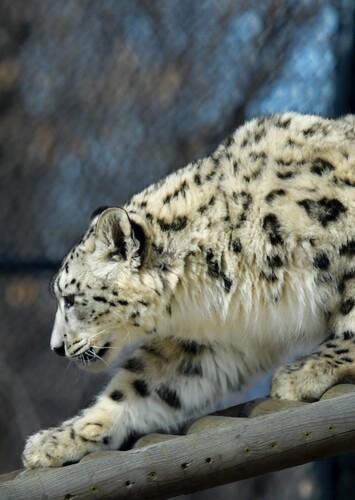 Dakota Zoo