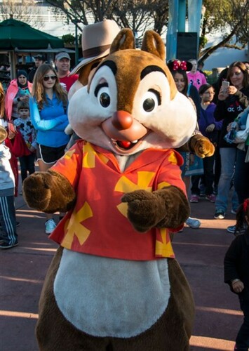Dale