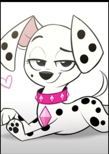 Dallas Dalmatian