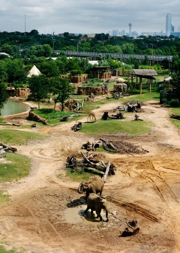Dallas Zoo