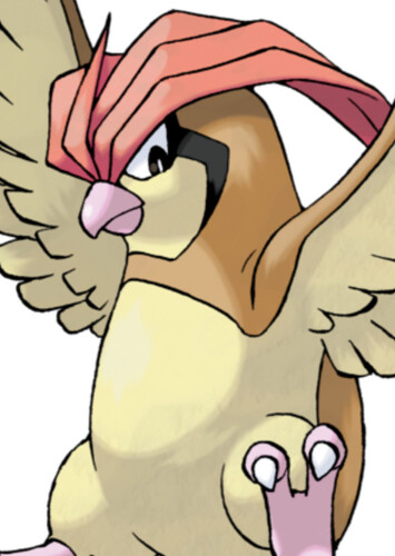 Dandy's Pidgeotto (English Dub)