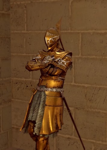 Darkmoon Knightess