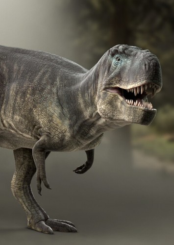 Daspletosaurus