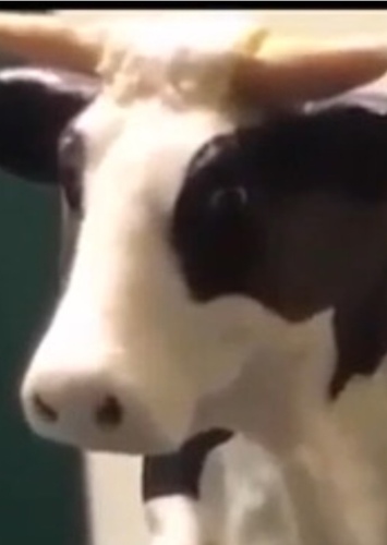 Dave The Cow