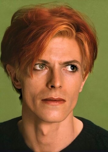 David Bowie