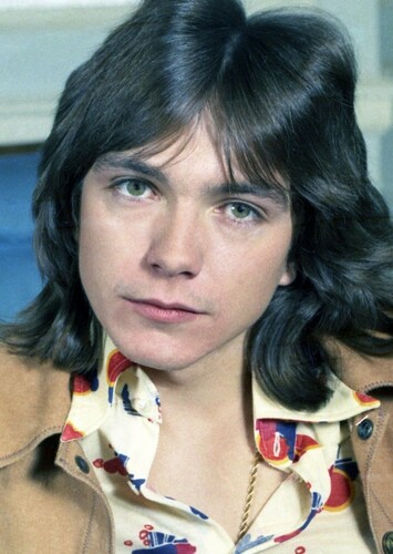 David Cassidy