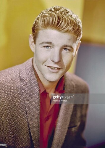 David Nelson