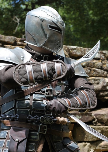 Dawnguard Protagonist