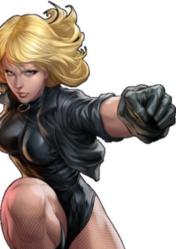 [DC]Black Canary