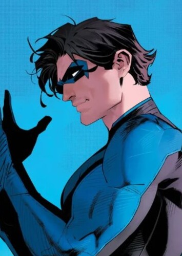 [DC]Nightwing/Robin