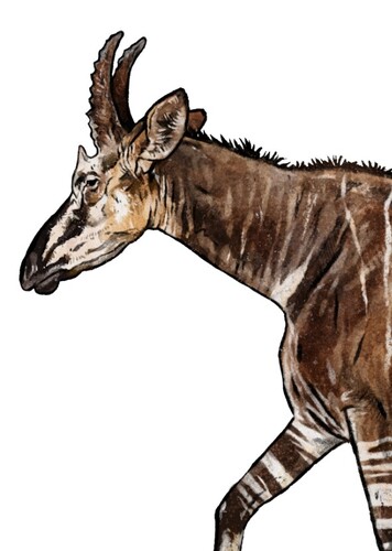 Decennatherium