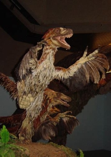Deinonychus