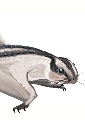 Dendrorhynchoides