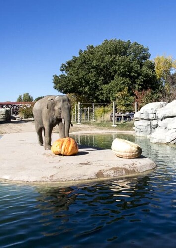 Denver Zoo