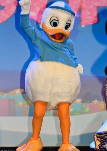 Dewey Duck