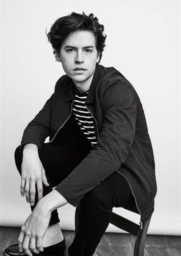 Cole Sorouse
