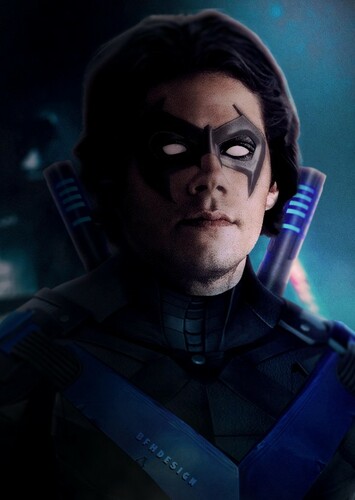 Dick Grayson (Earth-13)