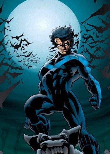 Dick Grayson/nightwing