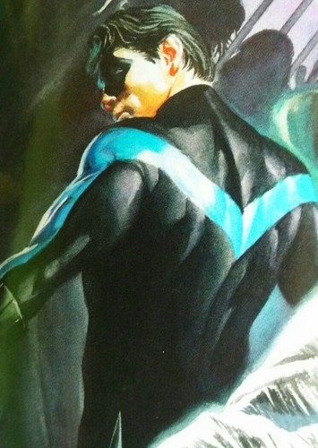 Dick Grayson / Robin / Nightwing